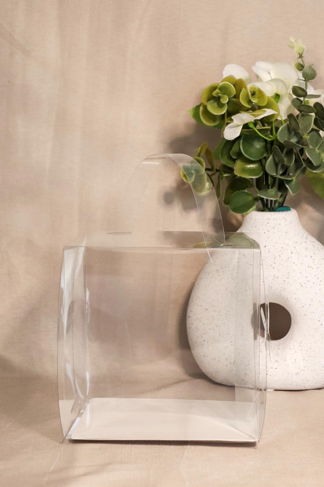 BOÎTE BENTO TRANSPARENTE AVEC ANSE
