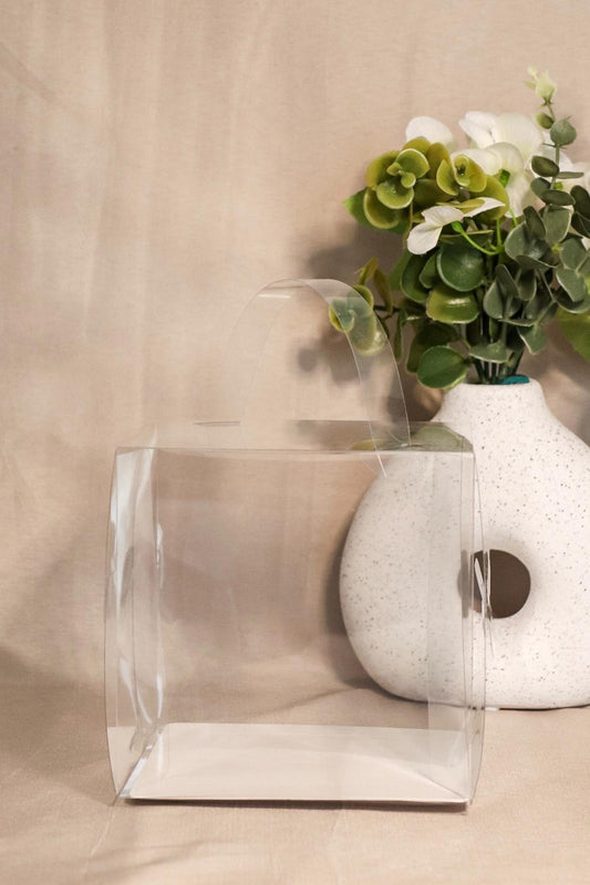 LOT 10 BOÎTES BENTO TRANSPARENTE AVEC ANSE