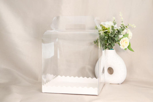 LOT 10 BOÎTES HAUTE TRANSPARENTE AVEC POIGNEE